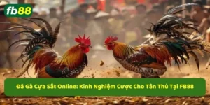 Đá gà cựa sắt online tại fb88
