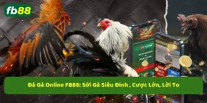 Đá gà online fb88 tổng hợp kèo đá gà hay nhất