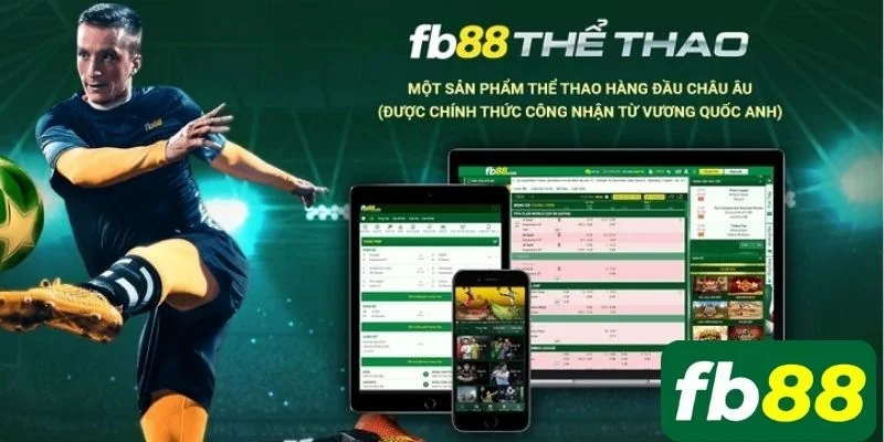 Nên chọn cá cược với FB88 để cá cược thể thao trực tuyến.