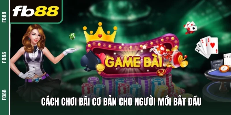 Cách chơi bài cho tân binh mới bắt đầu tham gia