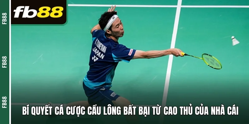 Bí quyết cá cược cầu lông bất bại từ cao thủ của nhà cái 