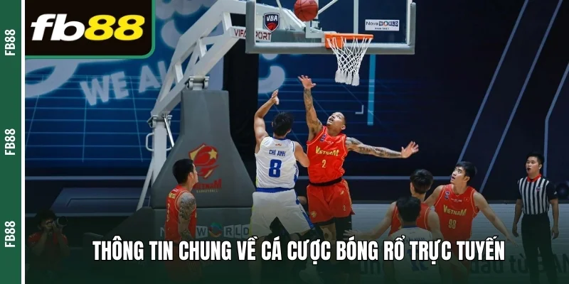 Thông tin chung về cá cược bóng rổ trực tuyến 