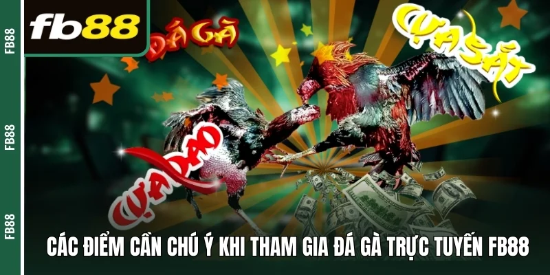 Các điểm cần chú ý khi tham gia đá gà trực tuyến FB88 