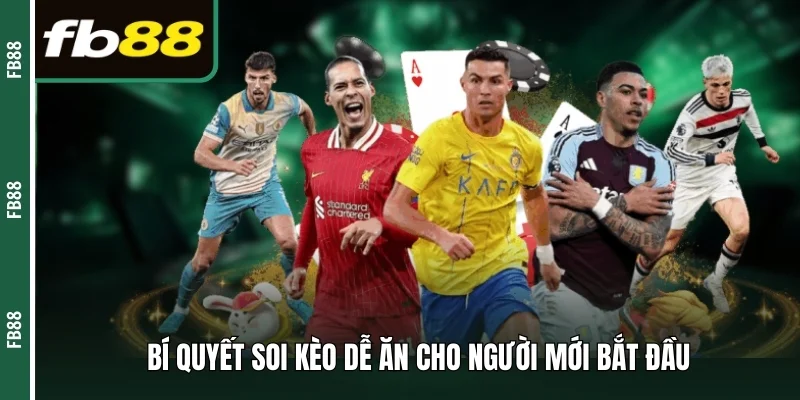 Bí quyết soi kèo dễ ăn cho người mới bắt đầu 